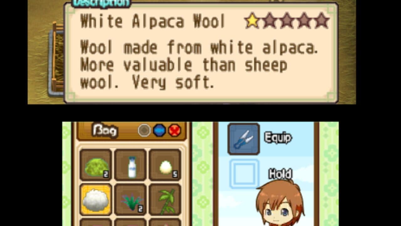 Harvest Moon: The Tale of Two Towns thumbnail 4