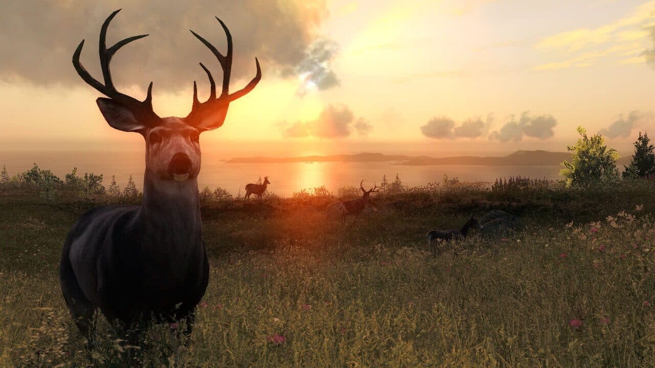 TheHunter Classic thumbnail 3