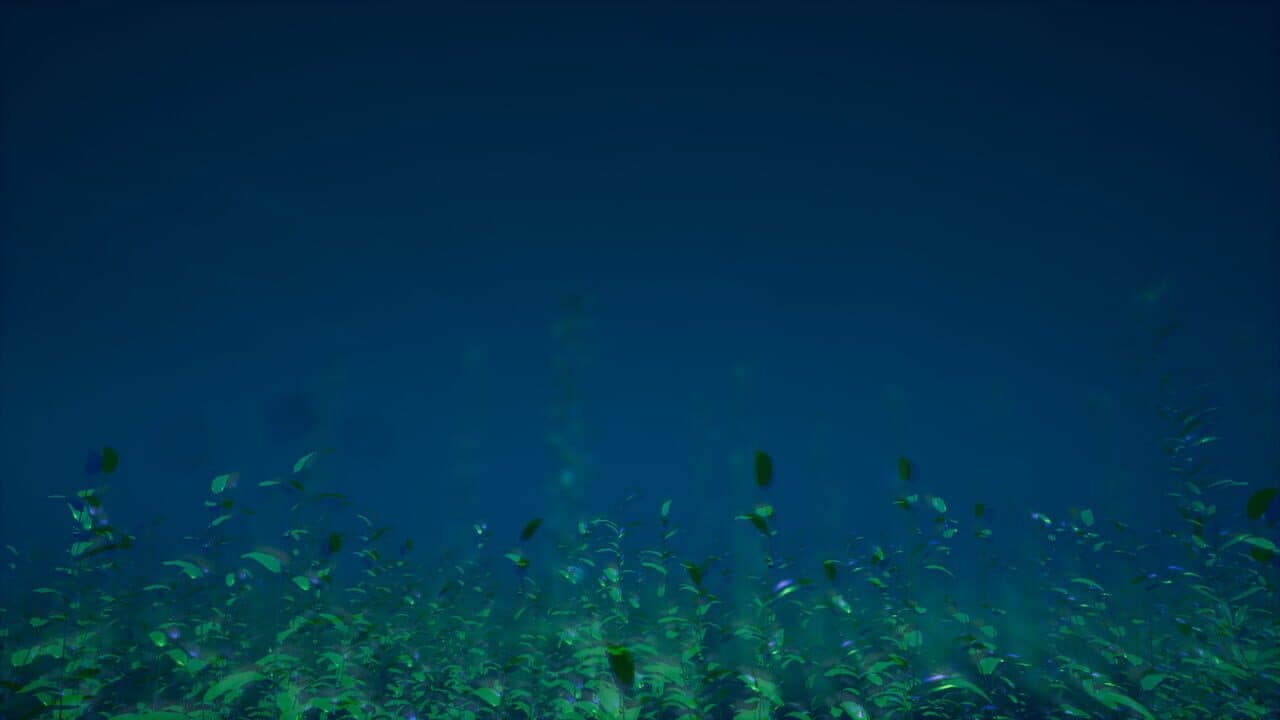Immersive Poetry thumbnail 4