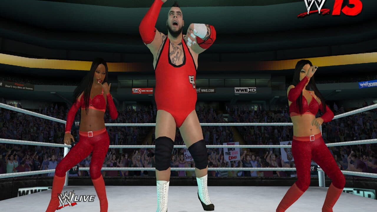WWE '13 thumbnail 10