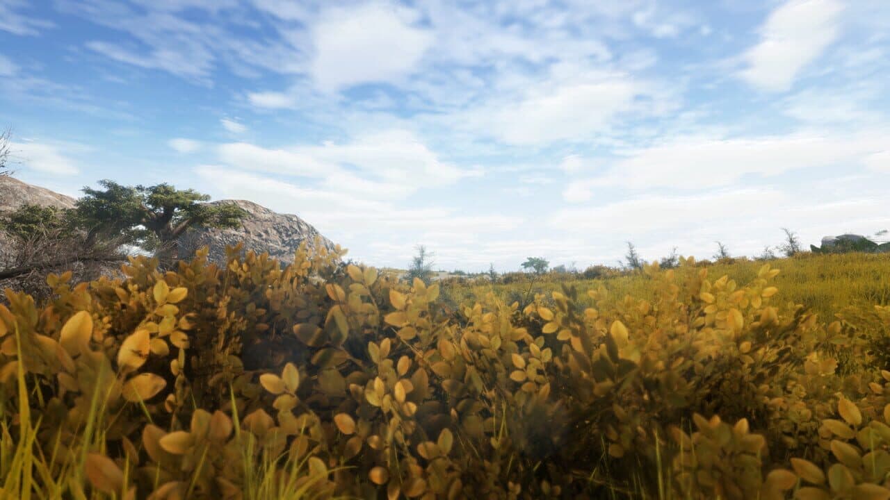 Animallica thumbnail 5