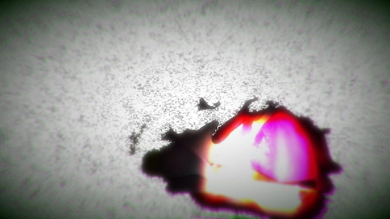 Calendula thumbnail 5
