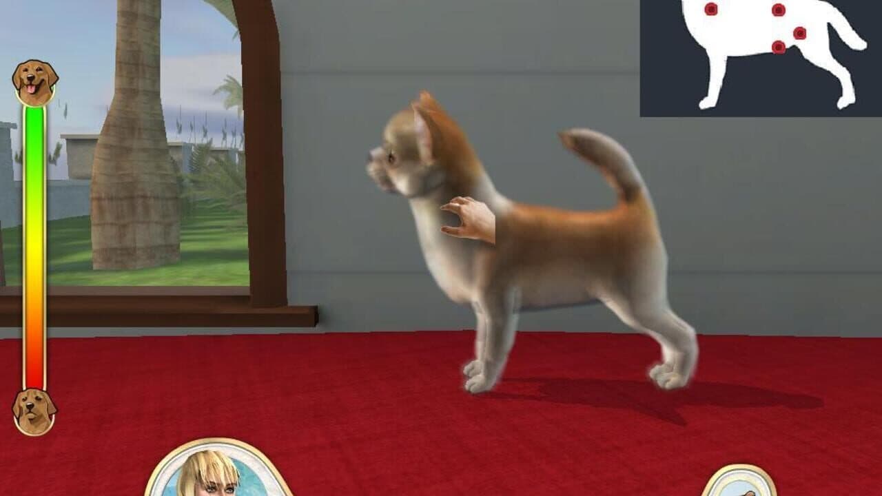 Paws & Claws: Pampered Pets thumbnail 5