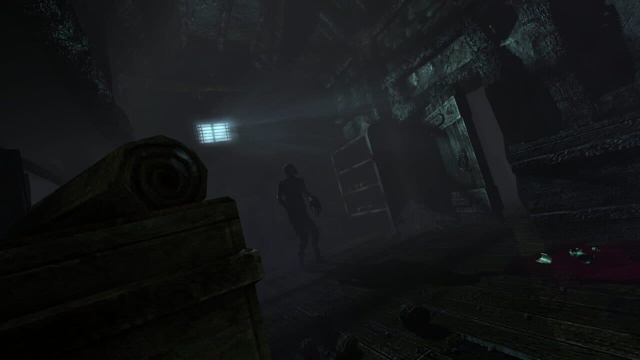Amnesia: Collection thumbnail 4