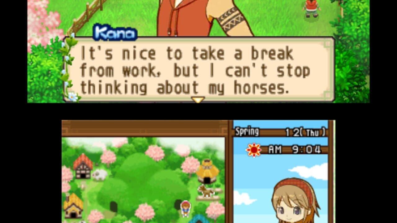 Harvest Moon: The Tale of Two Towns thumbnail 10