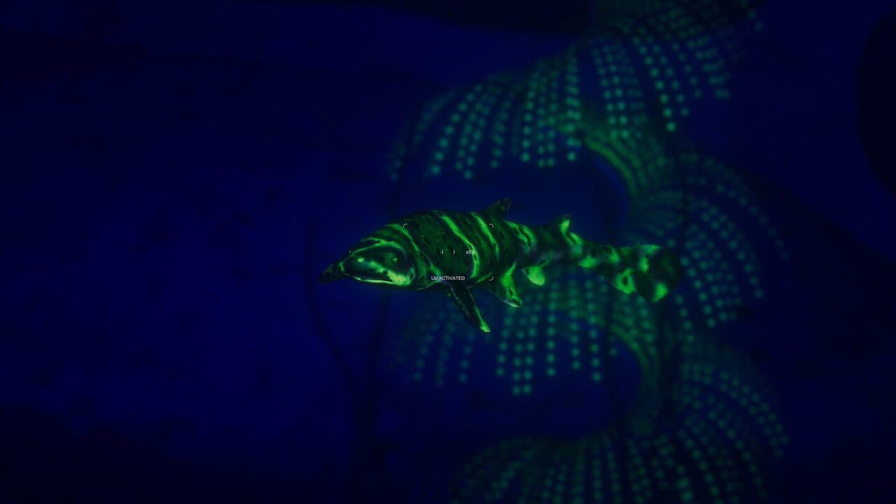 Beyond Blue thumbnail 5