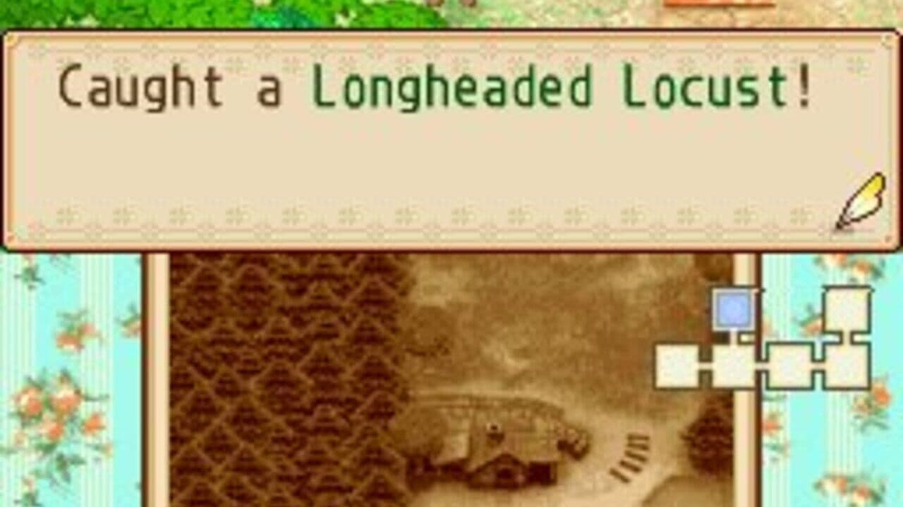 Harvest Moon DS: Grand Bazaar thumbnail 3
