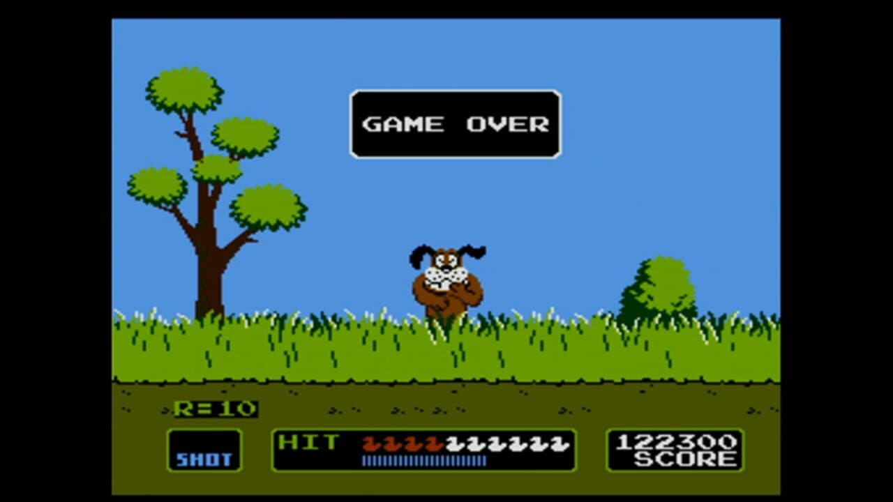 Duck Hunt thumbnail 5