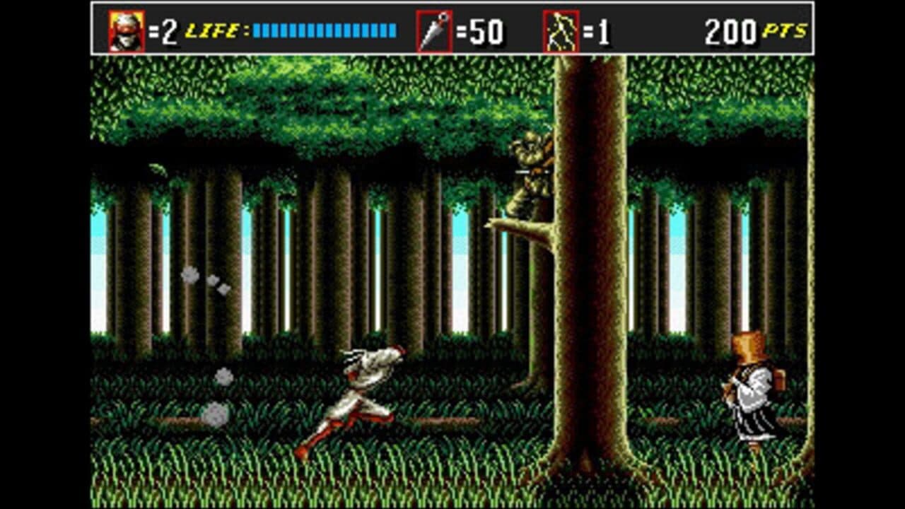 3D Shinobi III: Return of the Ninja Master thumbnail 4