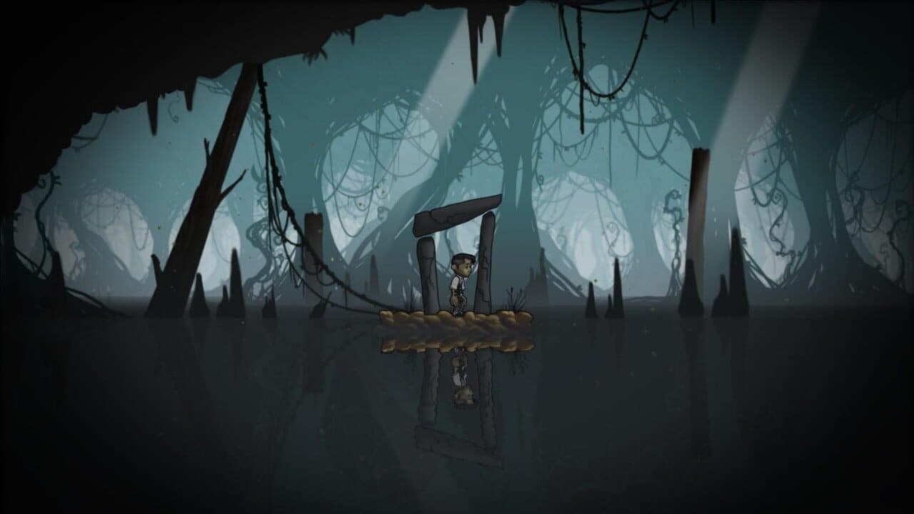 Schein thumbnail 5