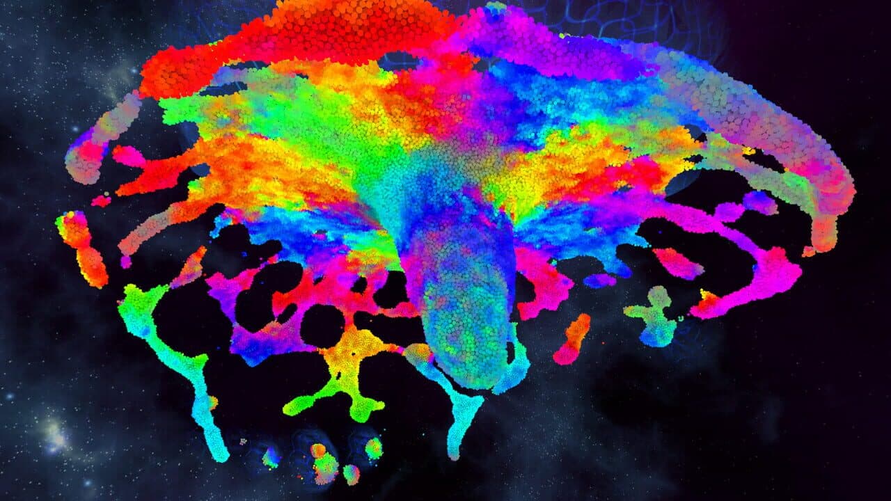 Chroma Lab thumbnail 5