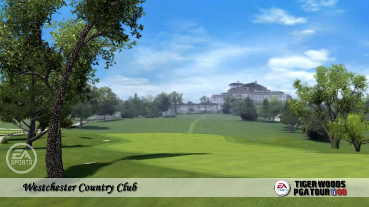 Tiger Woods PGA Tour 08 thumbnail 5