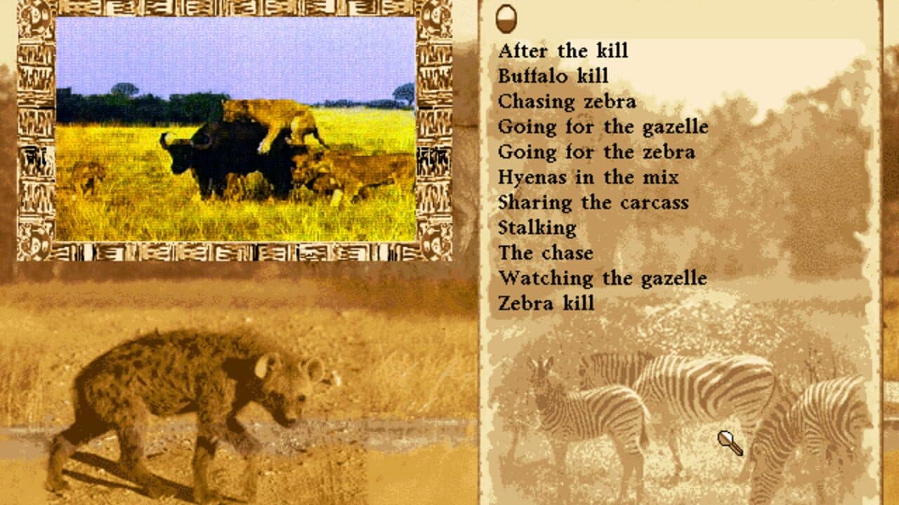Lion thumbnail 3