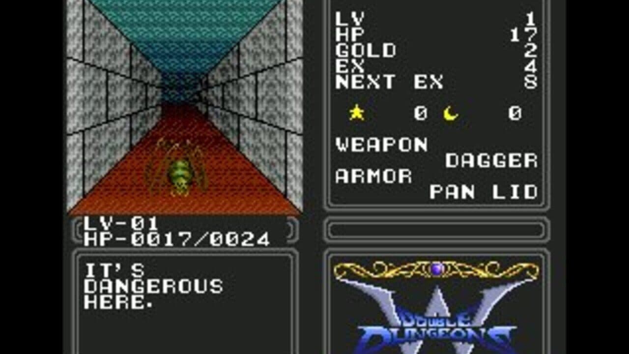 Double Dungeons screenshot 1