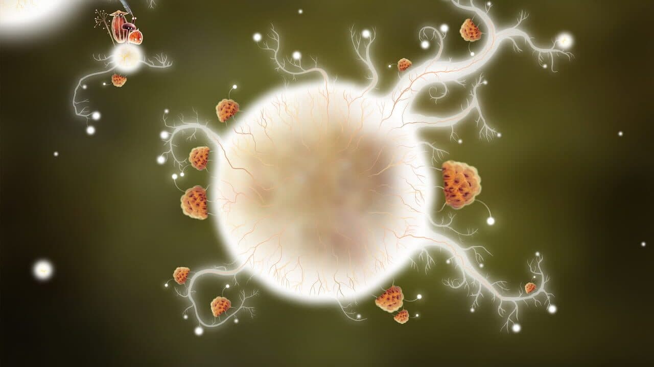 Botanicula thumbnail 4