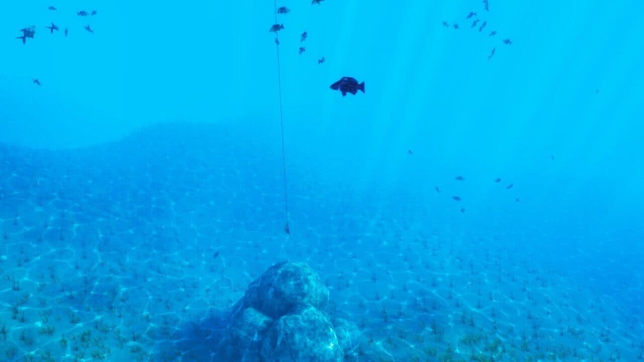 The Fishing Club 3D thumbnail 2