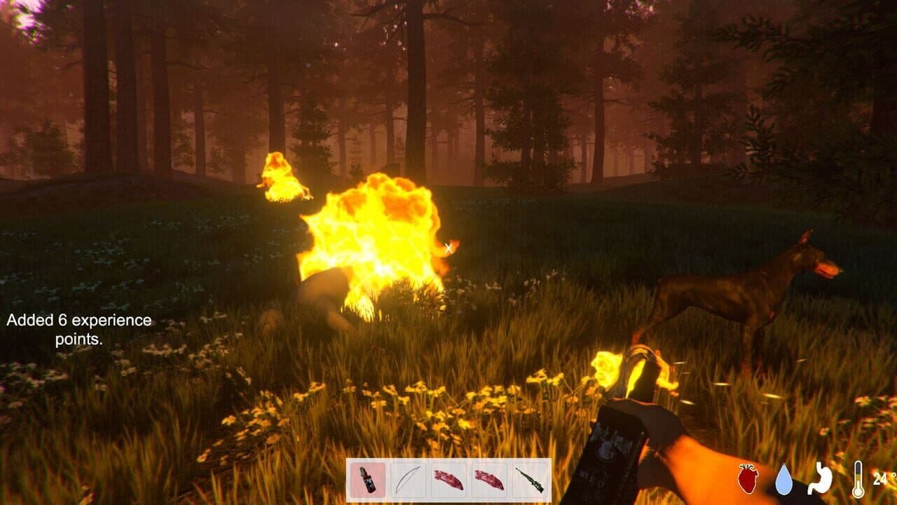 When They Arrived thumbnail 10