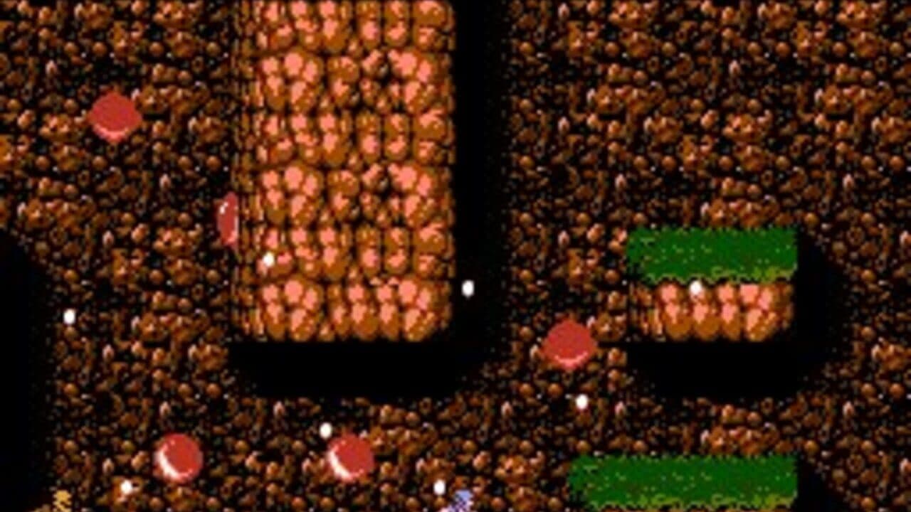 Ninja Gaiden II: The Dark Sword of Chaos thumbnail 2