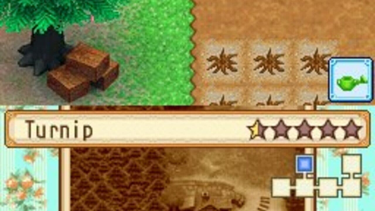 Harvest Moon DS: Grand Bazaar thumbnail 7