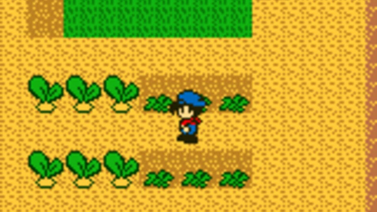 Harvest Moon GB thumbnail 9