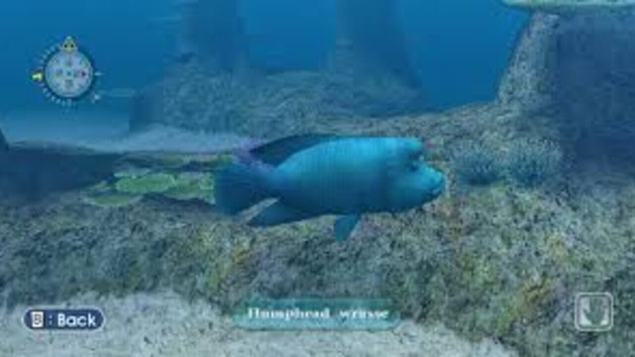 Endless Ocean thumbnail 2