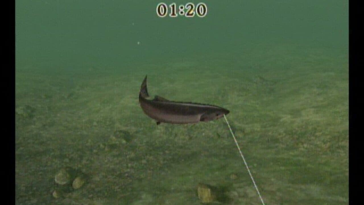 Reel Fishing Challenge thumbnail 9