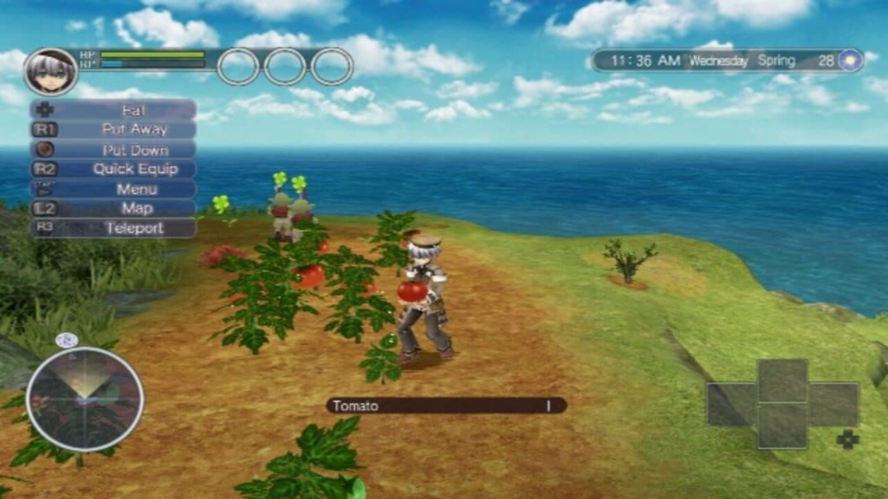 Rune Factory: Tides of Destiny thumbnail 2