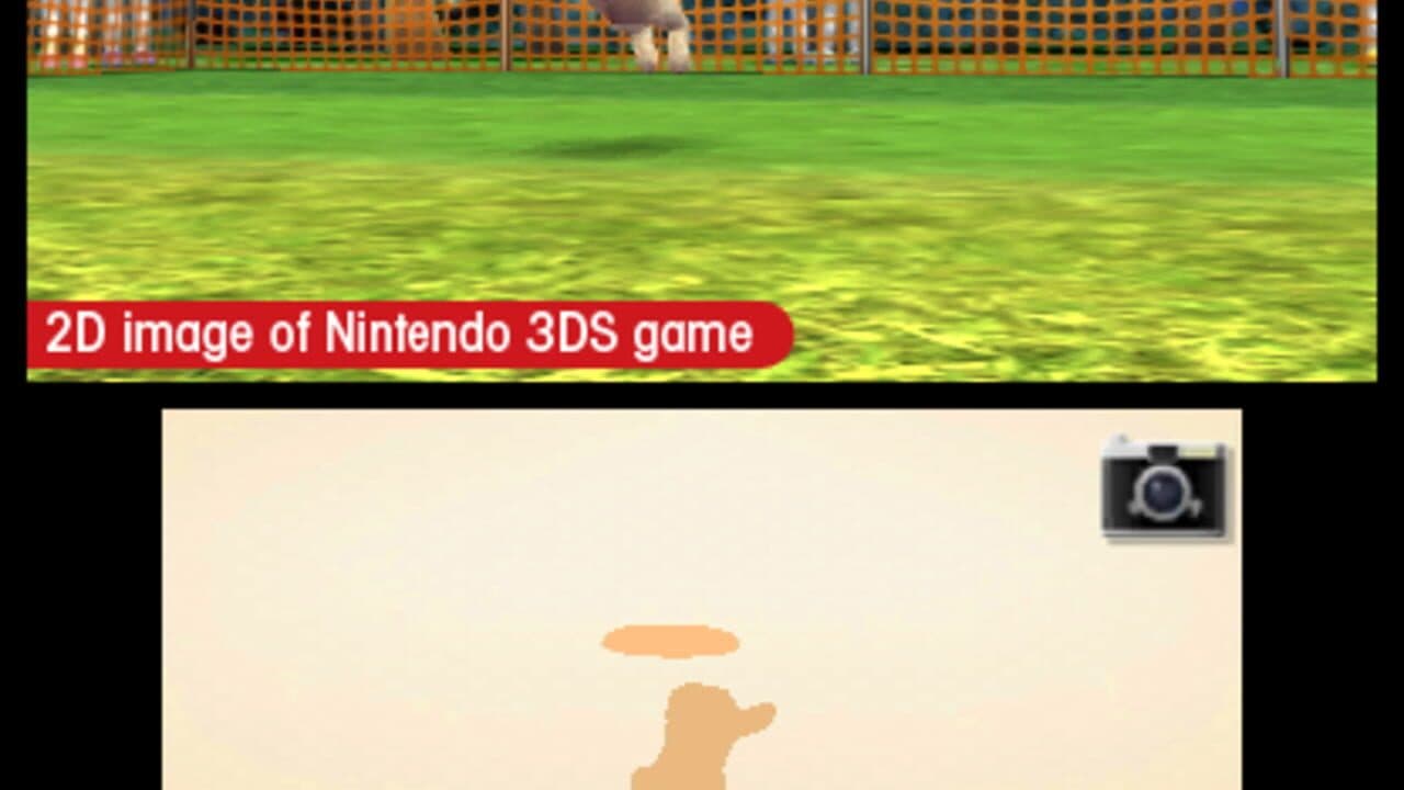 Nintendogs + Cats: French Bulldog & New Friends screenshot 1