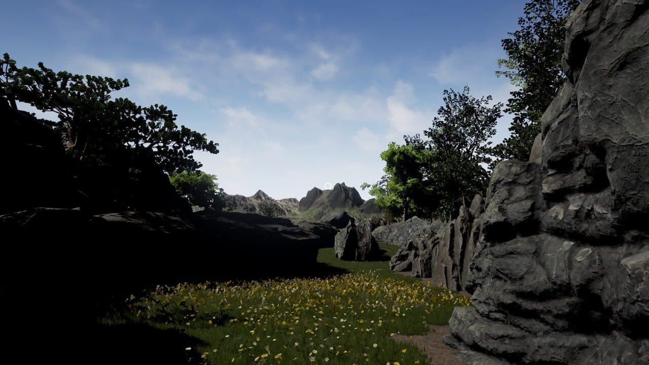 Wild Unknown thumbnail 5