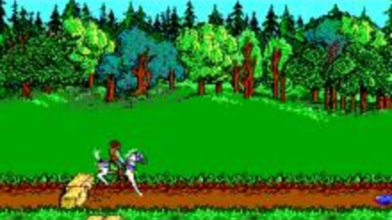 Advanced Dungeons & Dragons: Hillsfar thumbnail 3