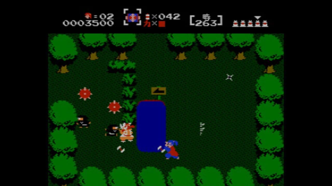 The Mysterious Murasame Castle screenshot 1