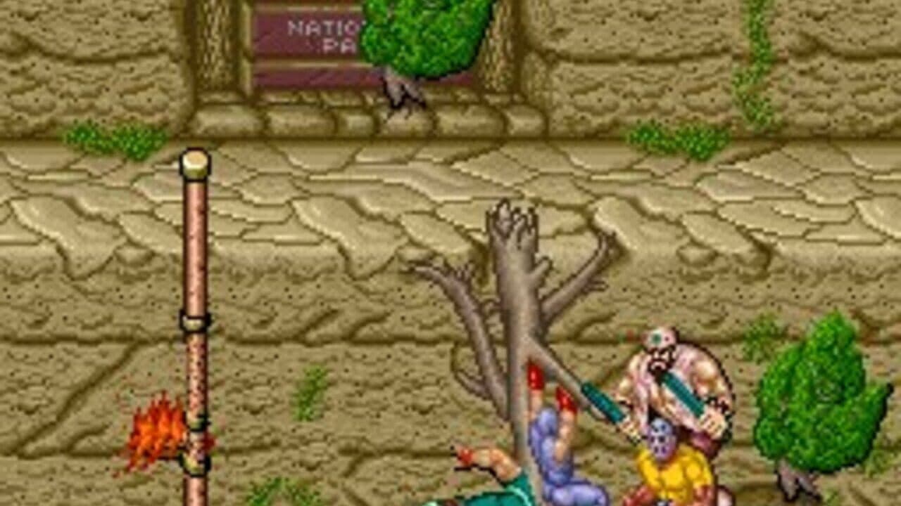 Ninja Gaiden thumbnail 7