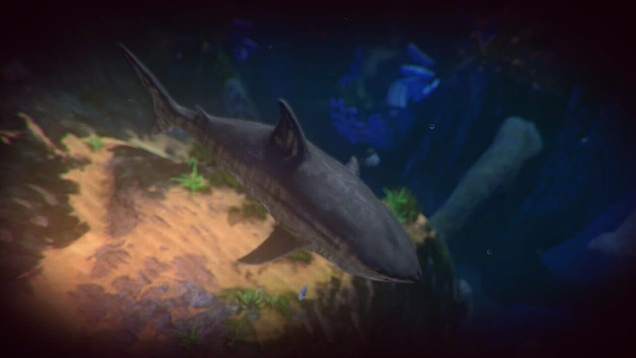 Feed and Grow: Fish thumbnail 2