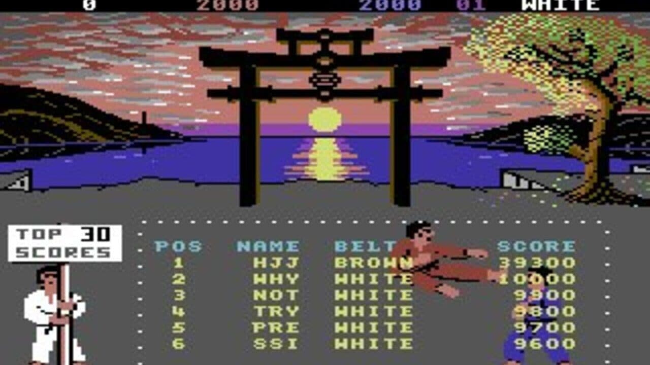 International Karate + thumbnail 7