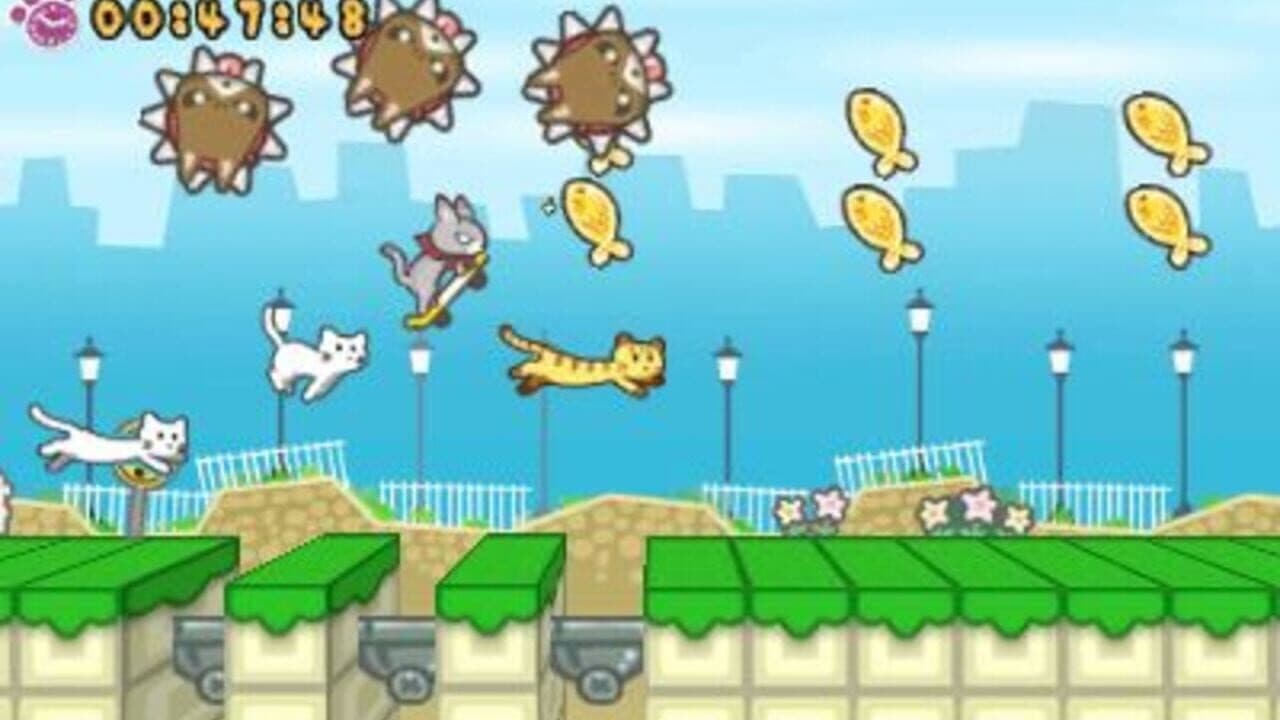 Skater Cat screenshot 1