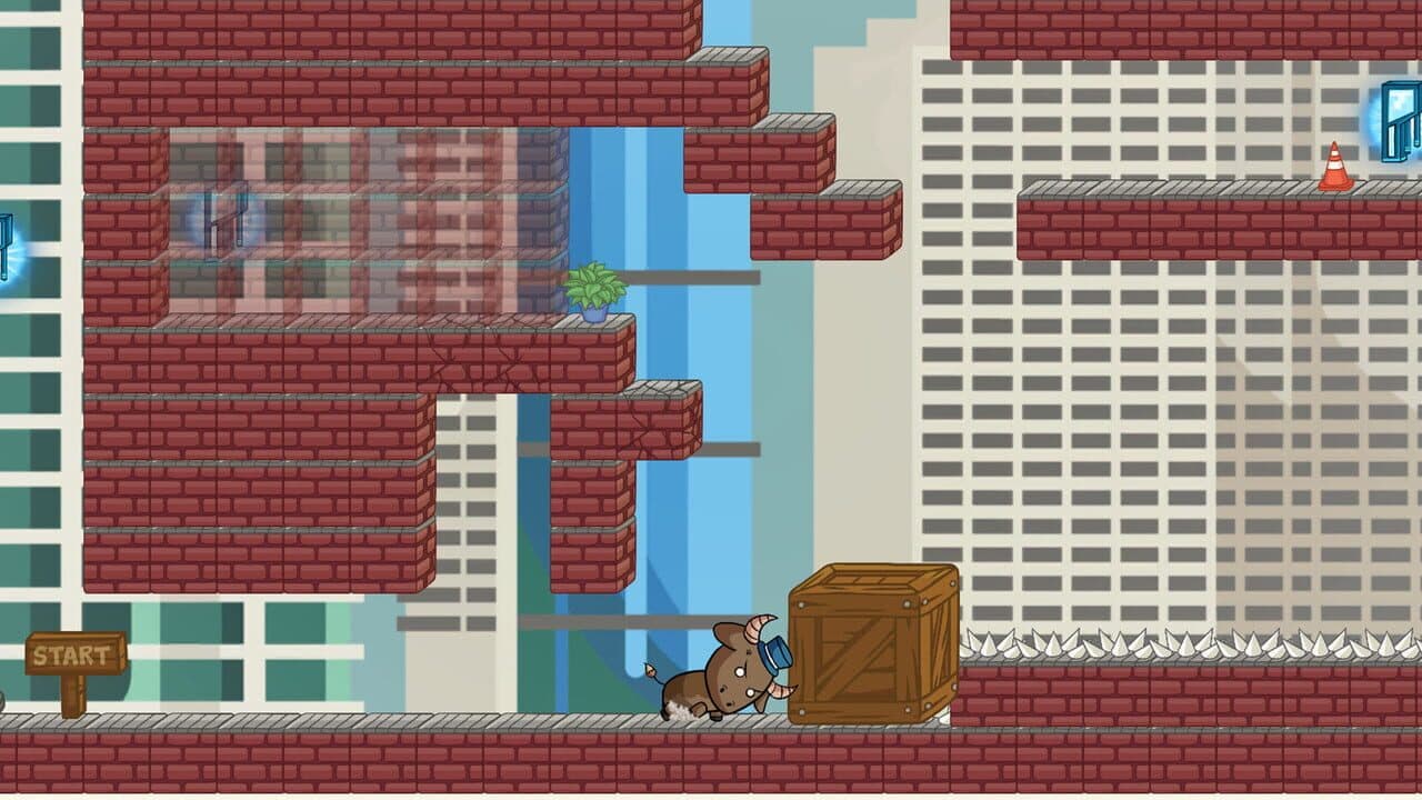 Calico & Co thumbnail 5