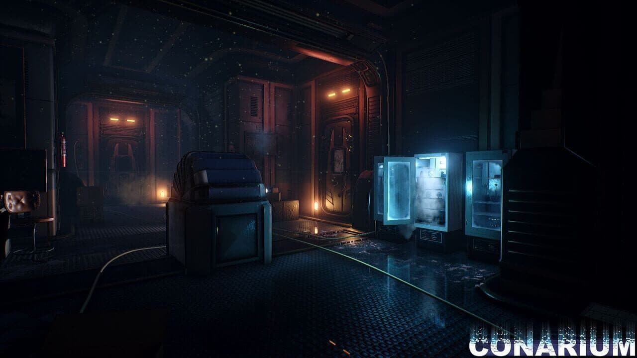 Conarium thumbnail 5