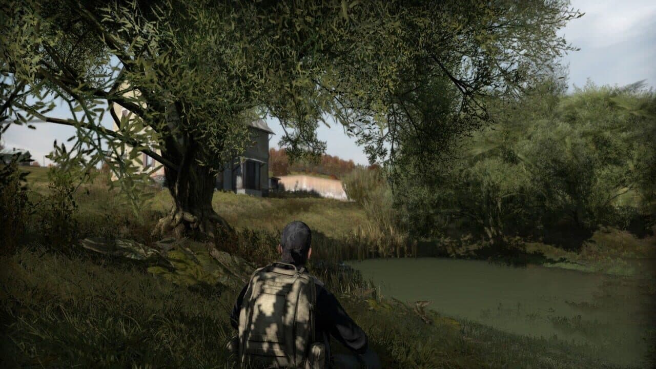 Arma II: DayZ thumbnail 4