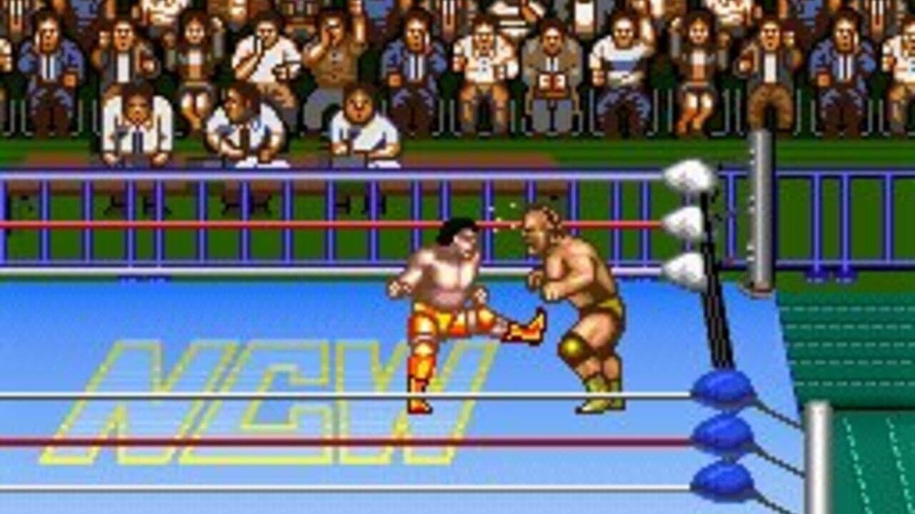 Natsume Championship Wrestling thumbnail 2