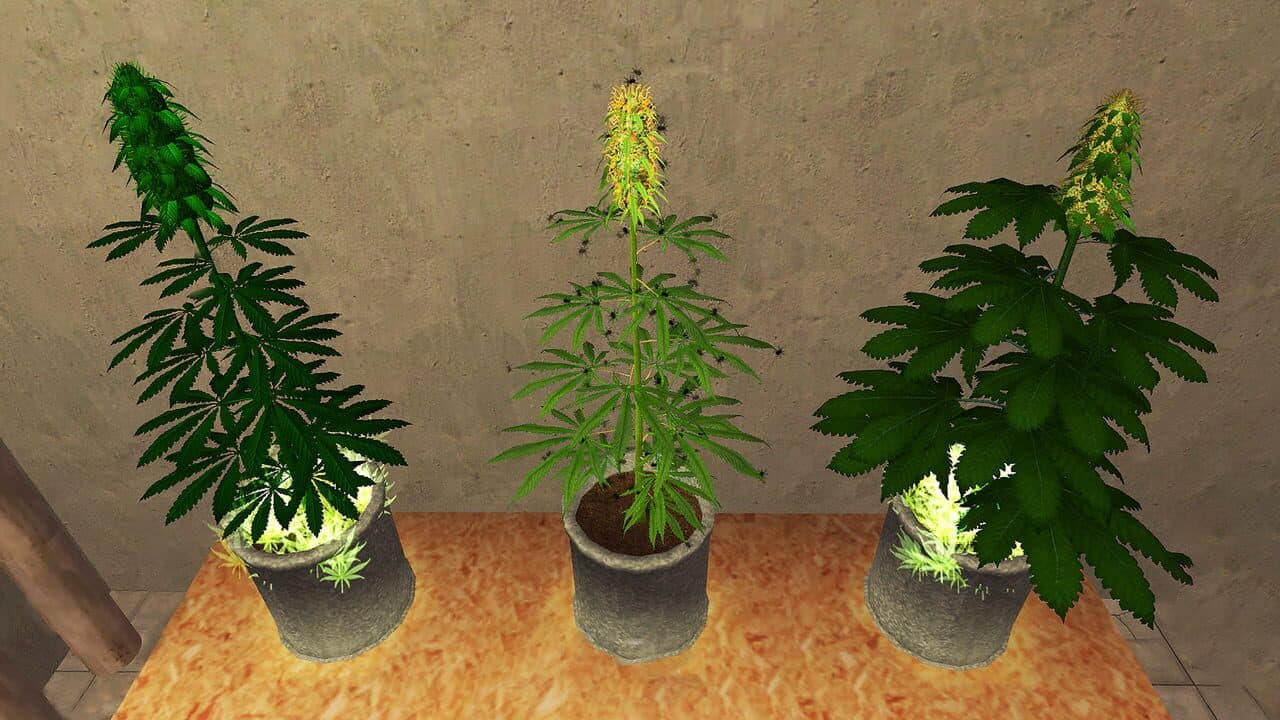 Weed Shop 2 thumbnail 2