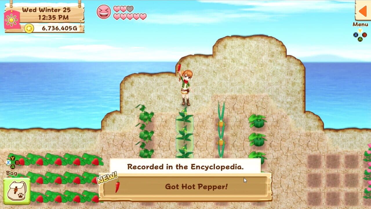 Harvest Moon: Light of Hope thumbnail 4