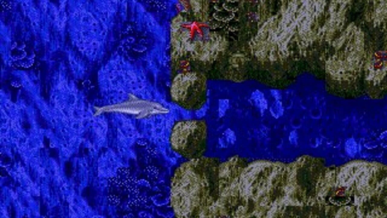 Ecco the Dolphin thumbnail 6