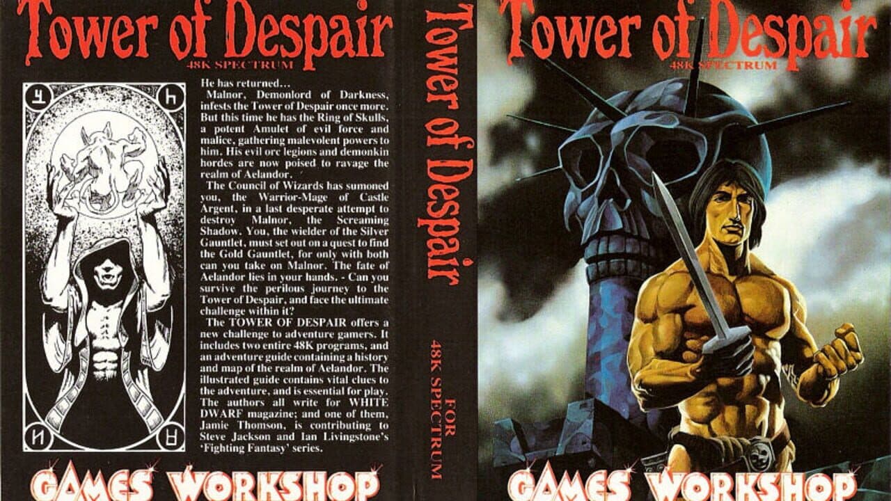 Tower of Despair screenshot 1