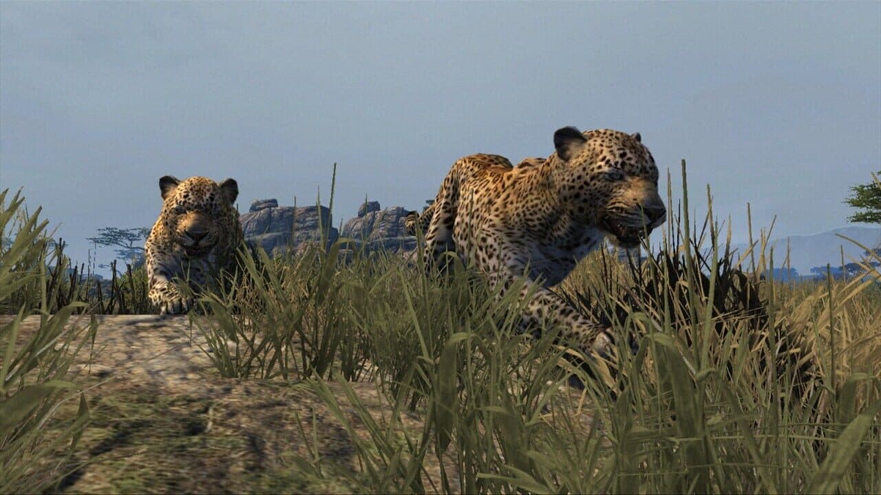 Cabela's Dangerous Hunts 2013 thumbnail 9