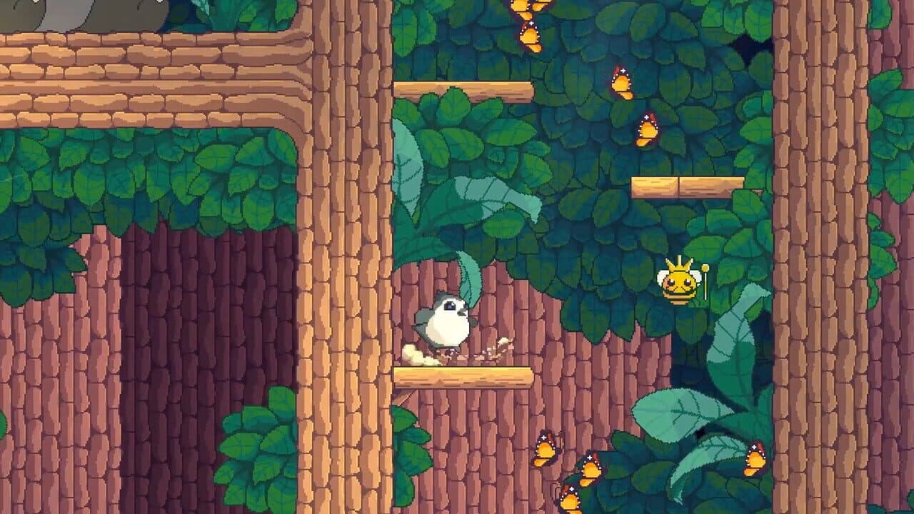 Songbird Symphony thumbnail 3
