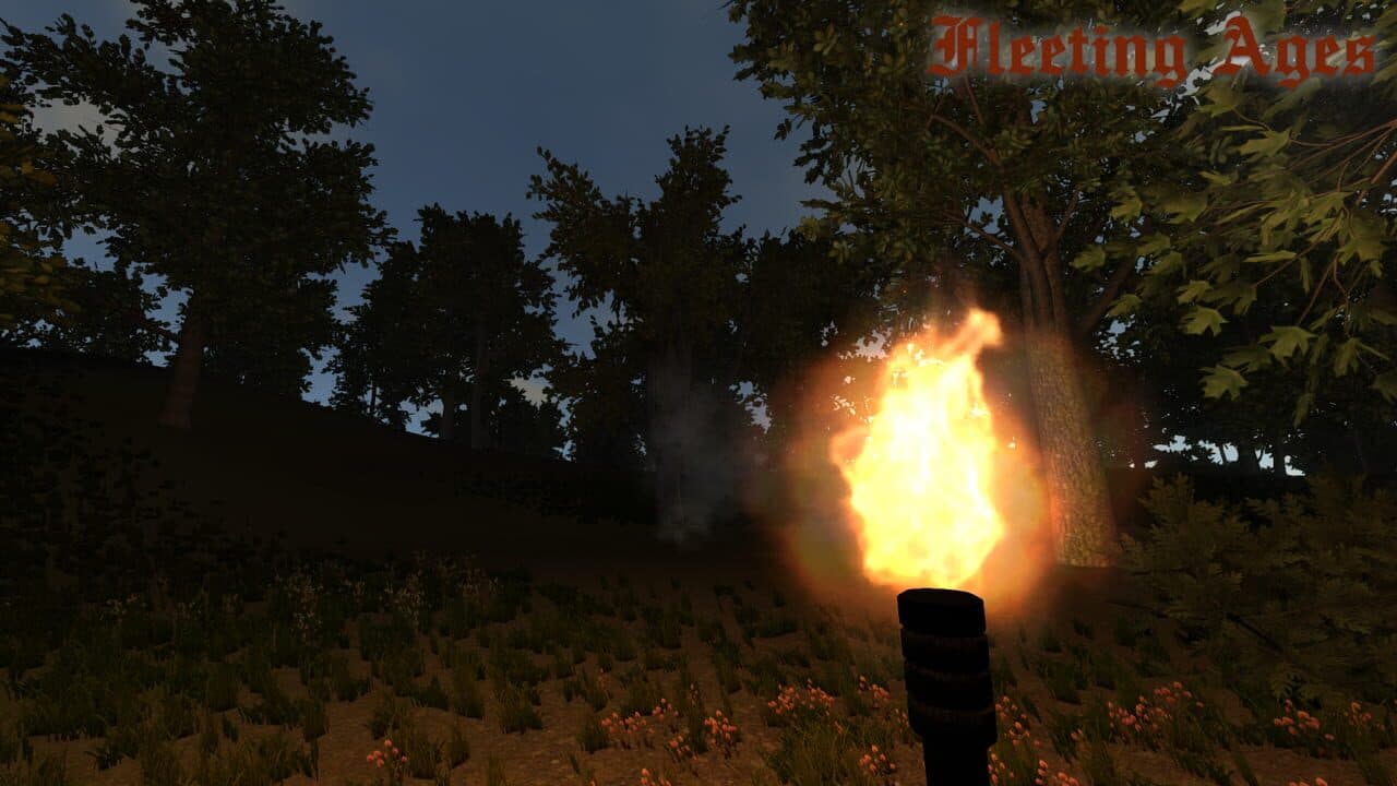 Fleeting Ages thumbnail 5