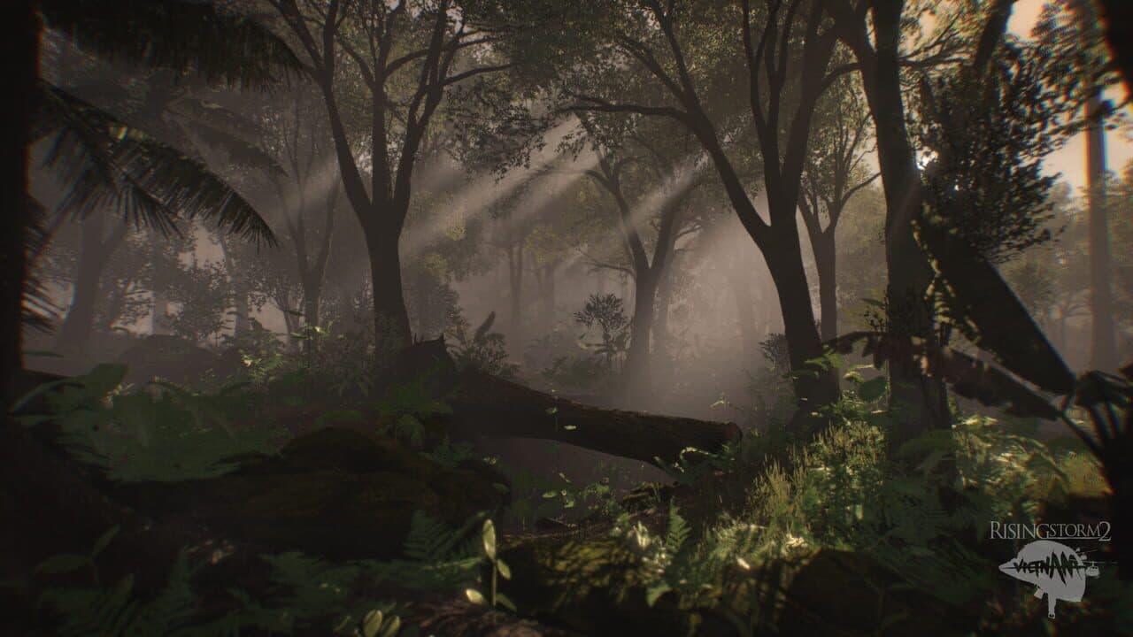 Rising Storm 2: Vietnam thumbnail 5