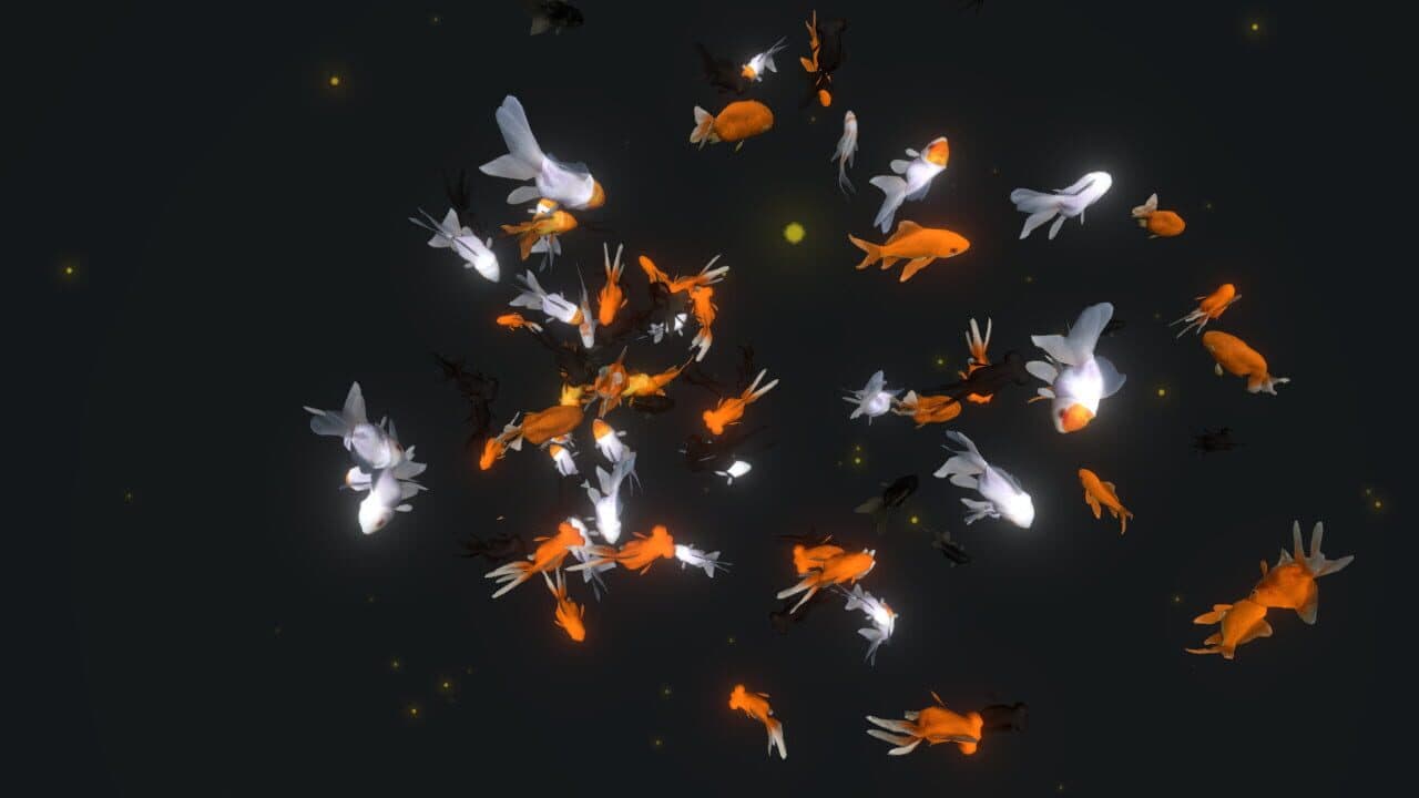 VR Aquarium Miyabi thumbnail 4