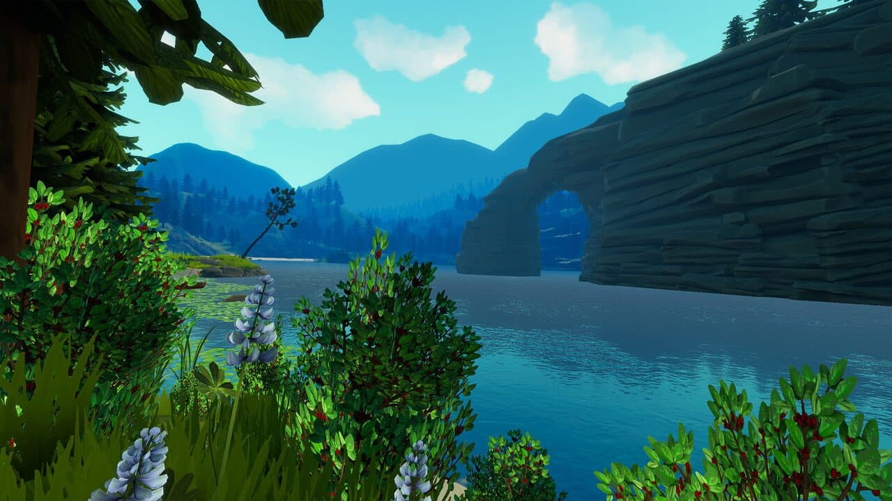 Catch & Release thumbnail 10