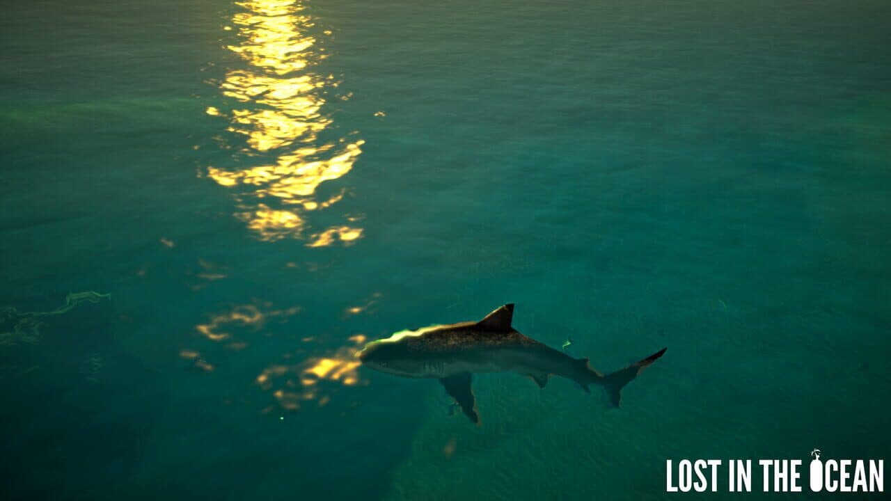 Lost in the Ocean VR thumbnail 5